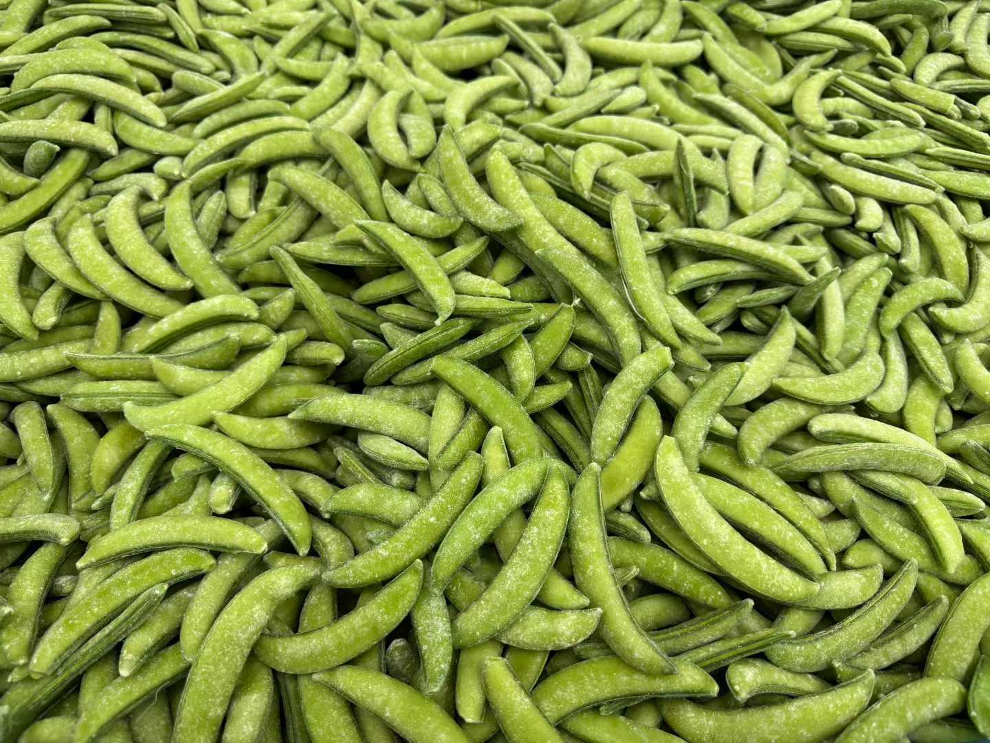 IQF frozen sugar snap pea manufacturer
