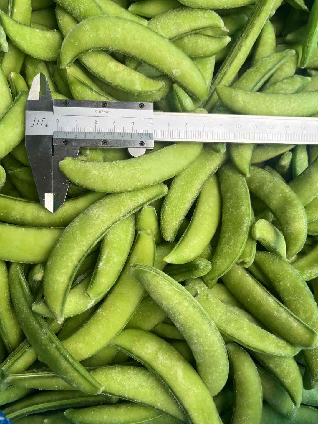 IQF frozen sugar snap pea manufacturer