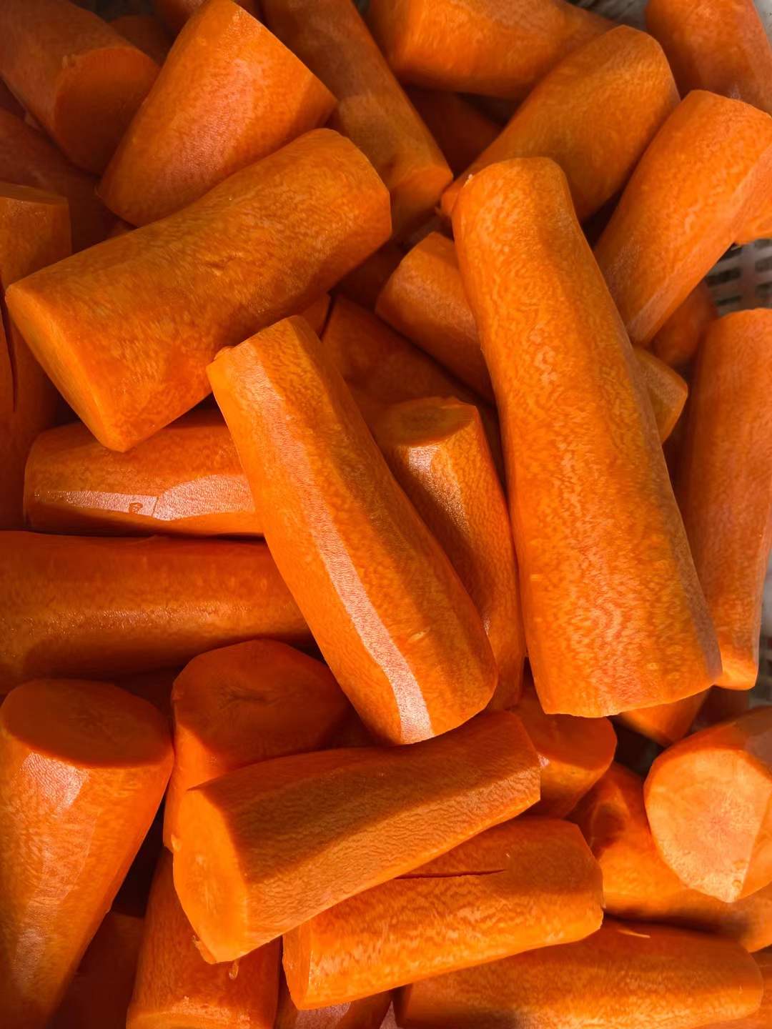 frozen carrot manufacturer