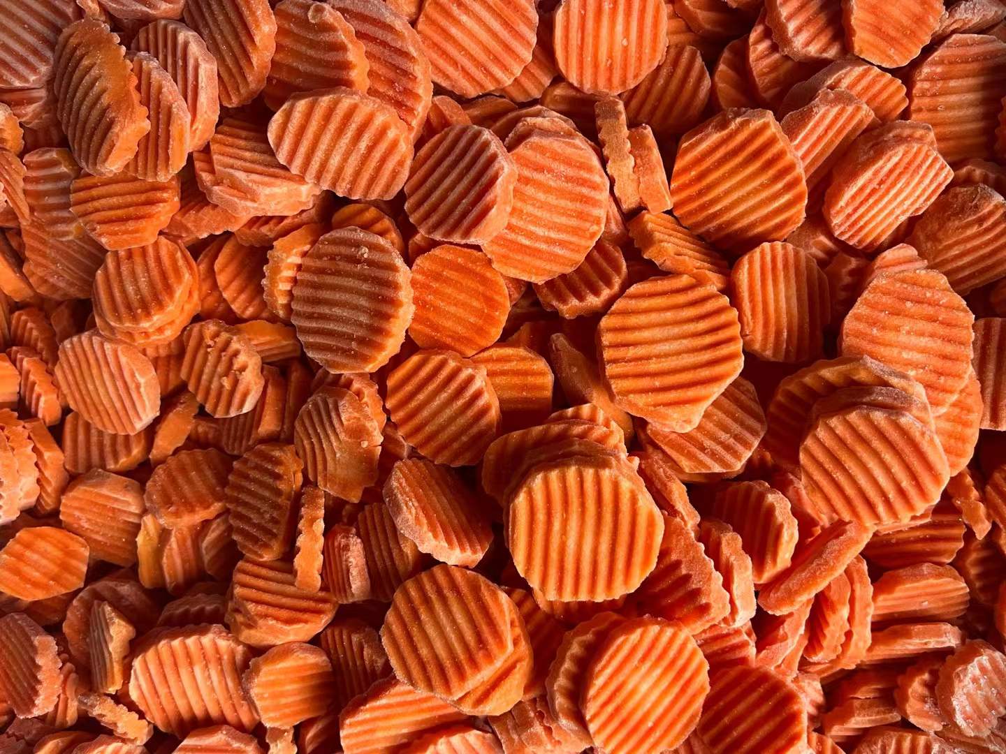 frozen carrot manufacturer