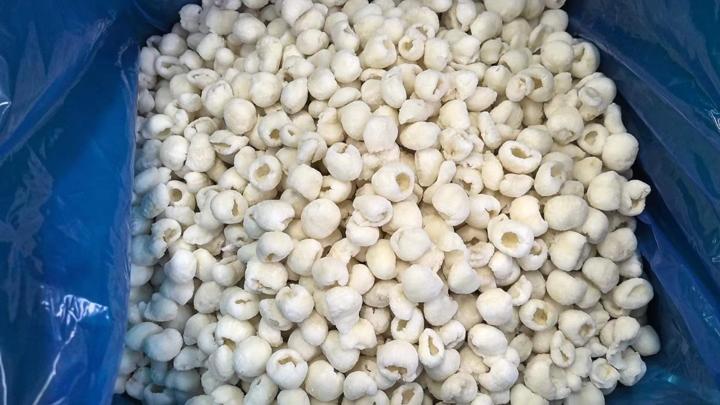 frozen longan manufacturer