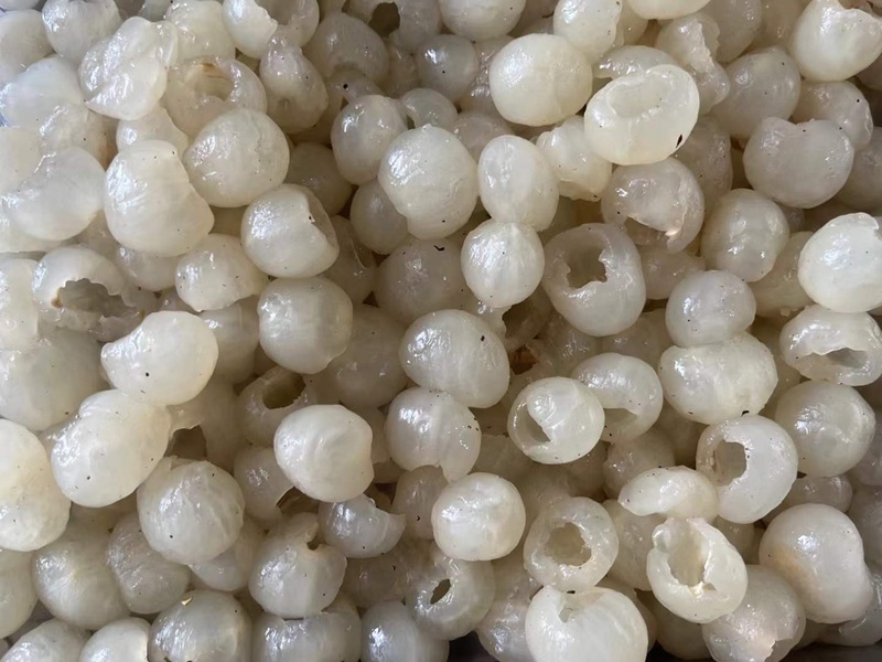 IQF Frozen Longan Fruits manufacturer｜IQF Longan Without Shell
