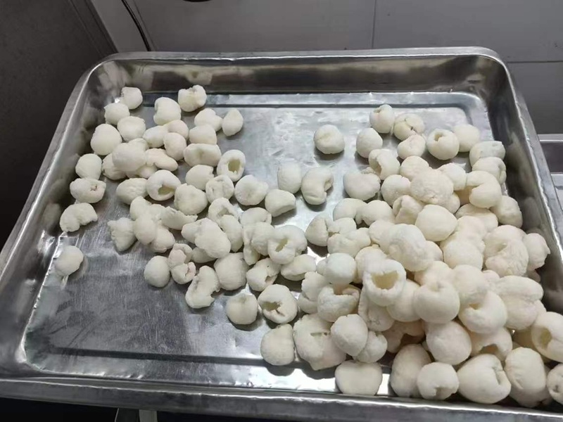 IQF Frozen Longan Fruits manufacturer｜IQF Longan Without Shell