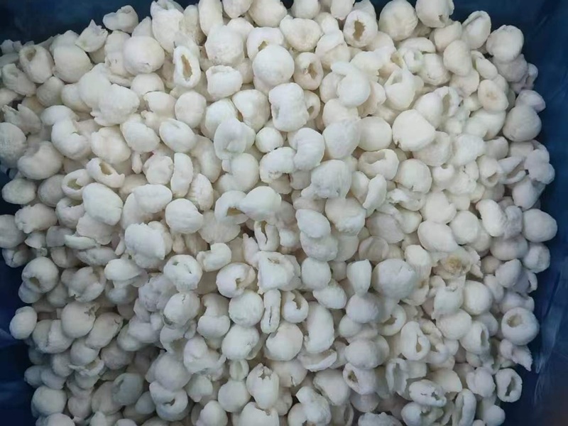 IQF Frozen Longan Fruits manufacturer｜IQF Longan Without Shell