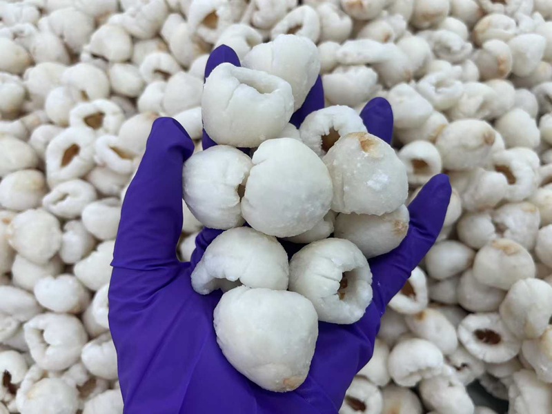 IQF Peeled Frozen Lychee manufacturer from China lichee litchi