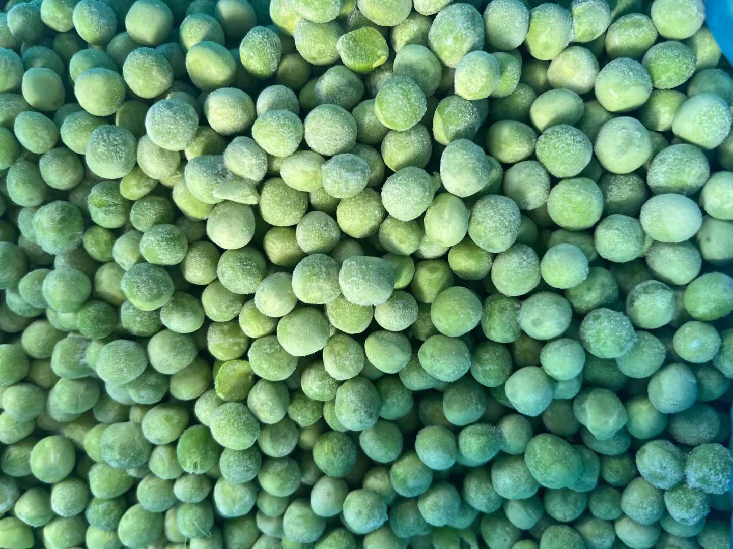 frozen chayote strips manufacturers