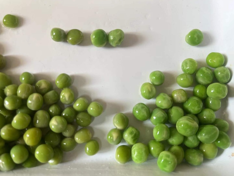 Fabricante de guisantes congelados al por mayor.