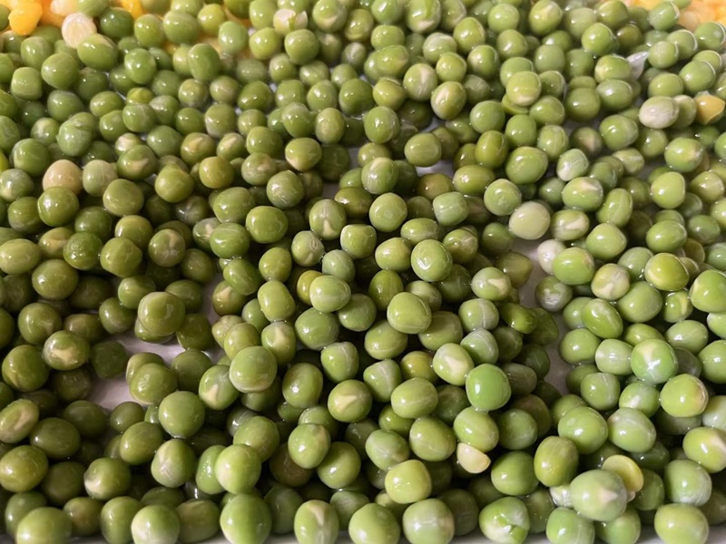 Fabricante de guisantes congelados al por mayor.