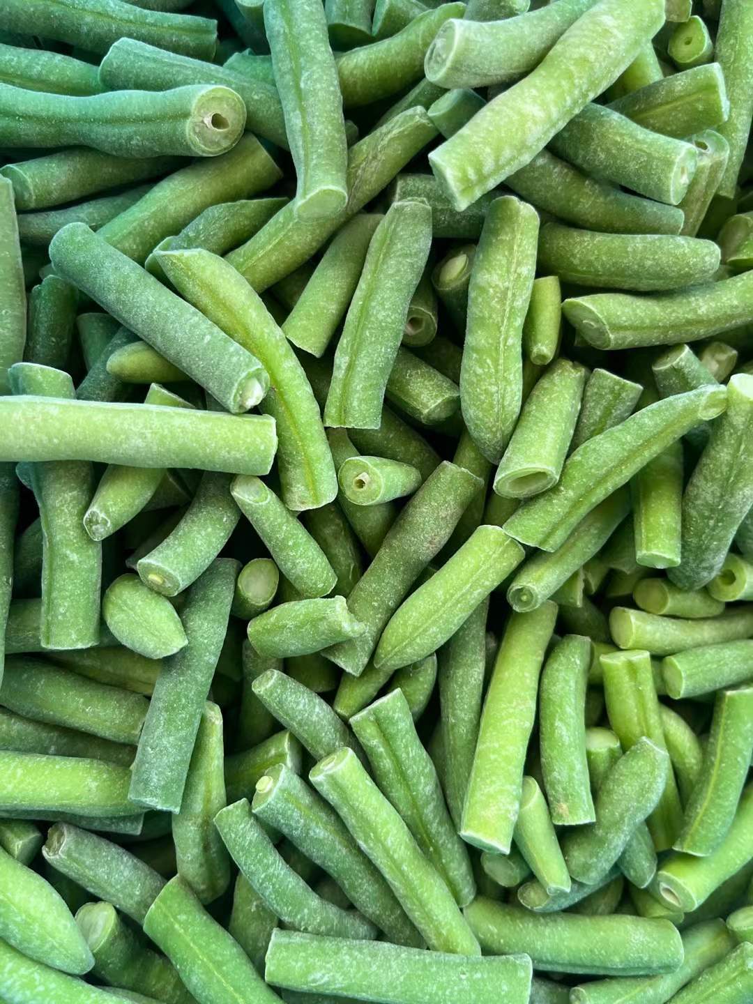 frozen green beans manufacturer