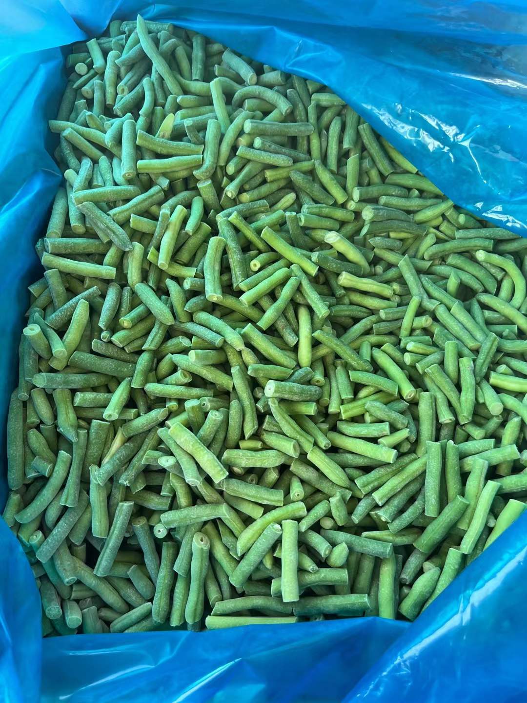 frozen green beans export price