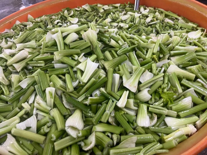 IQF Frozen Celery Dices manufacturer | Bulk Supply & Wholesale
