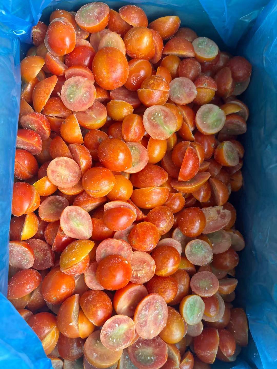 frozen cherry tomato exporter