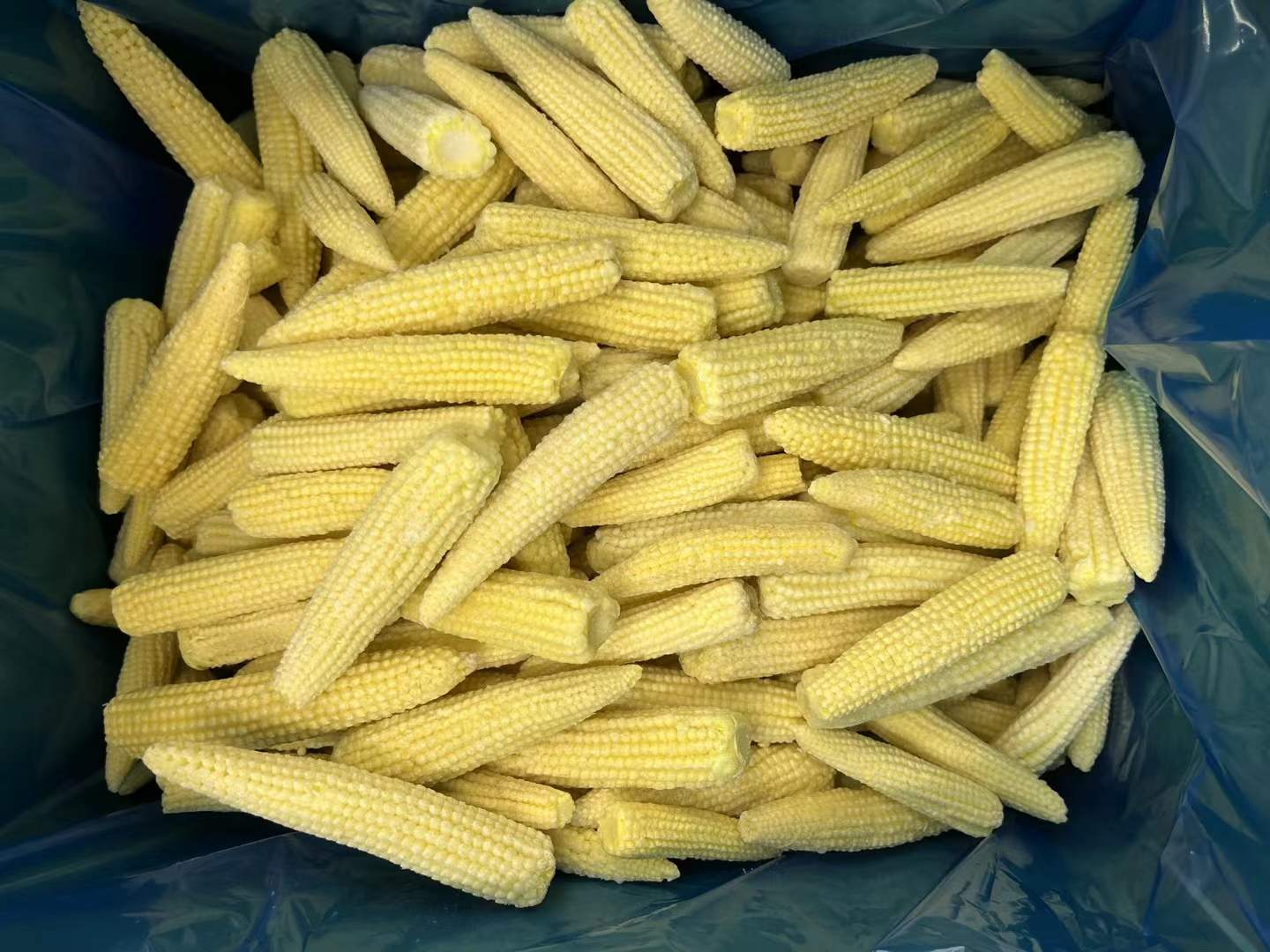 frozen baby corn supplier