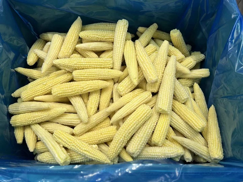 wholesale export frozen baby corn cobs｜frozen baby corn supplier