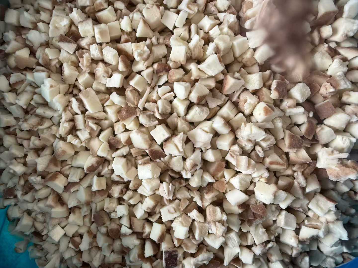 frozen shiitake mushrooms manufacturer