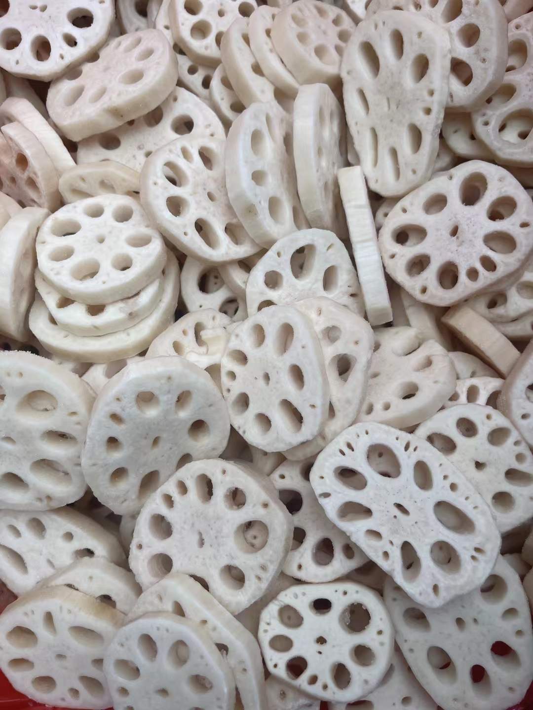 IQF frozen lotus root supplier