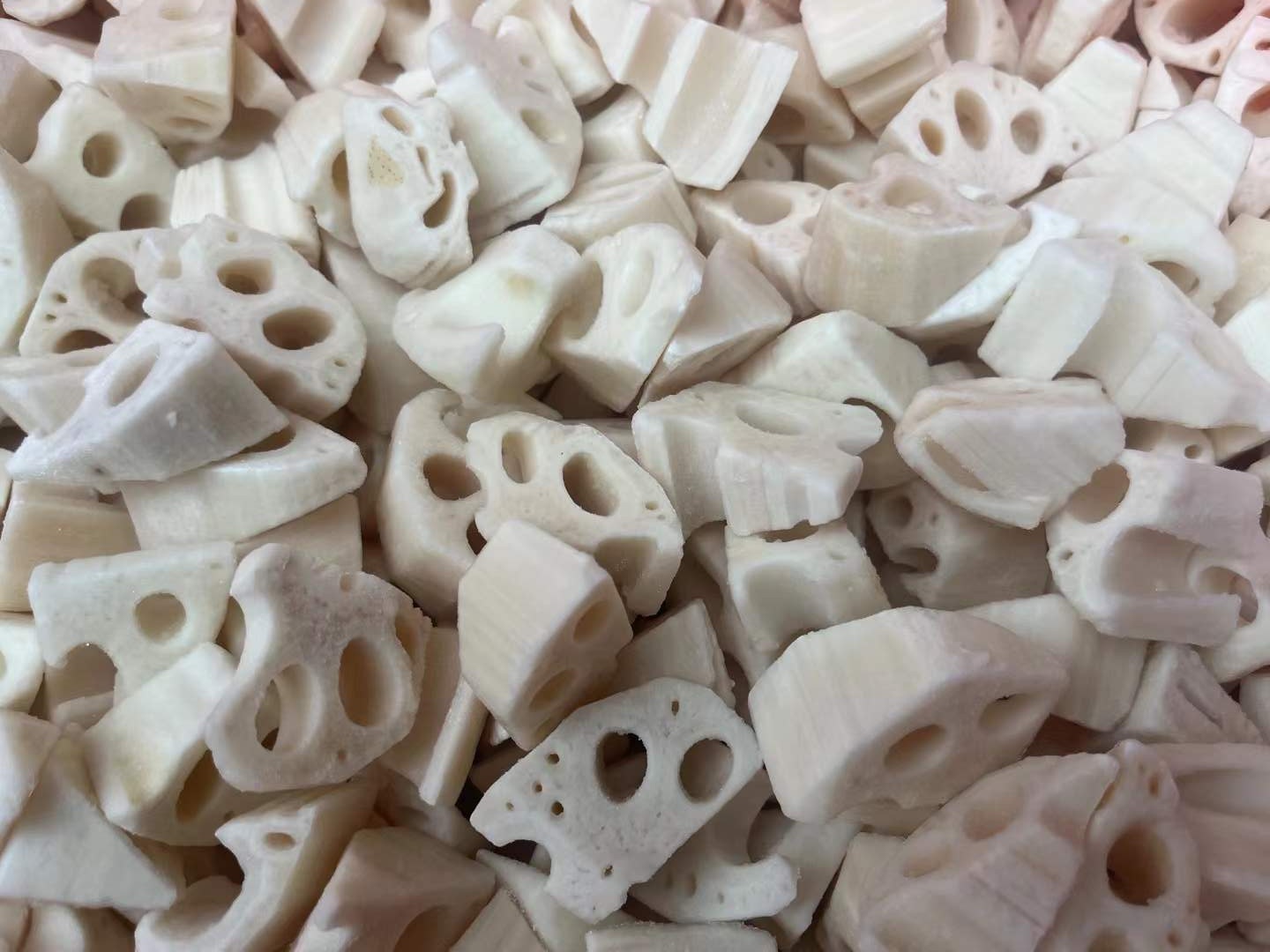 IQF Frozen Lotus Root Manufacturer | Bulk Wholesale & Custom Processing