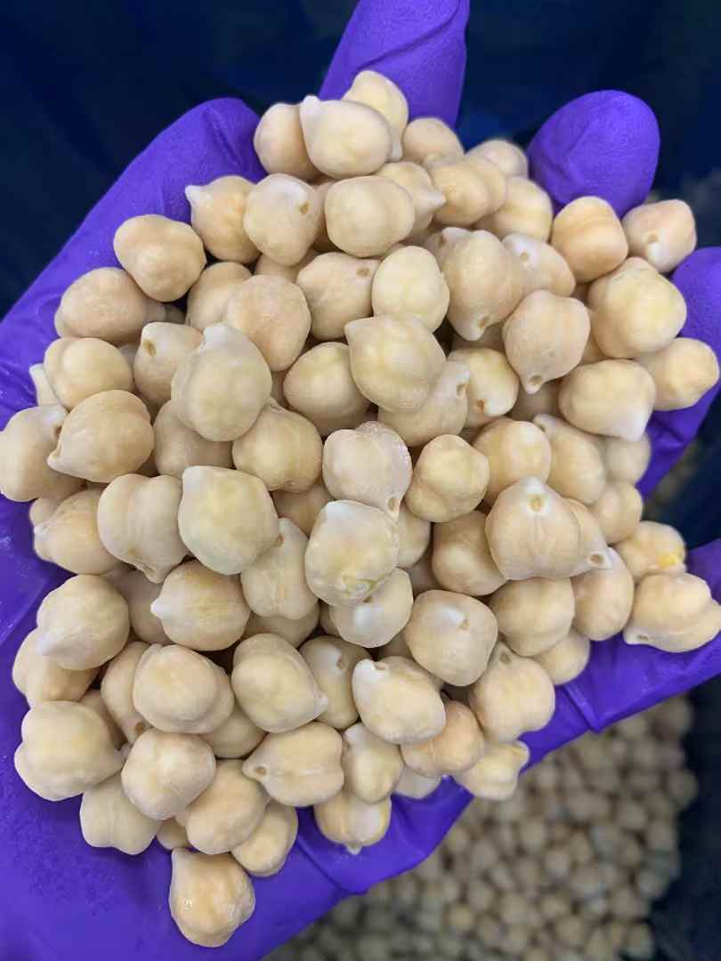 Frozen Chickpea with Bulk Package