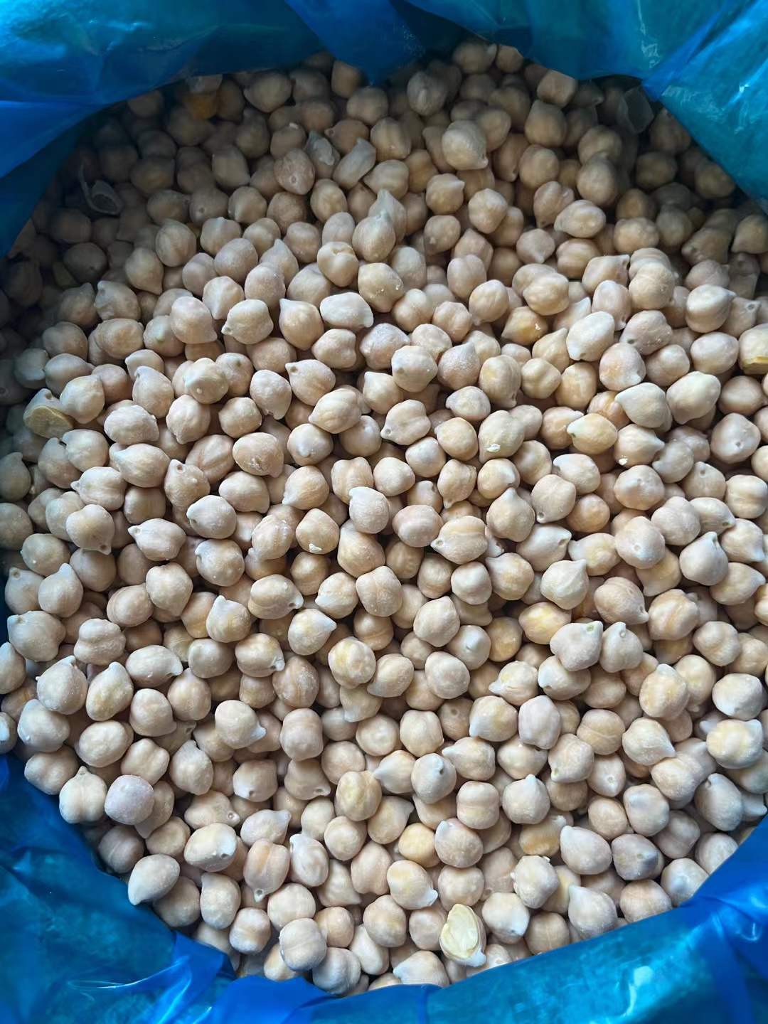 frozen chickpeas wholesale
