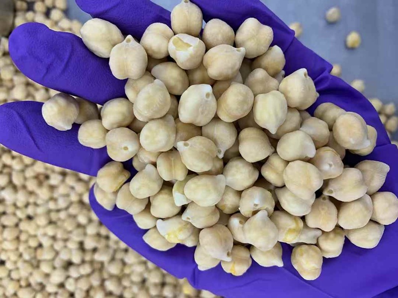 IQF Frozen Chickpeas manufacturer｜frozen chickpeas wholesale