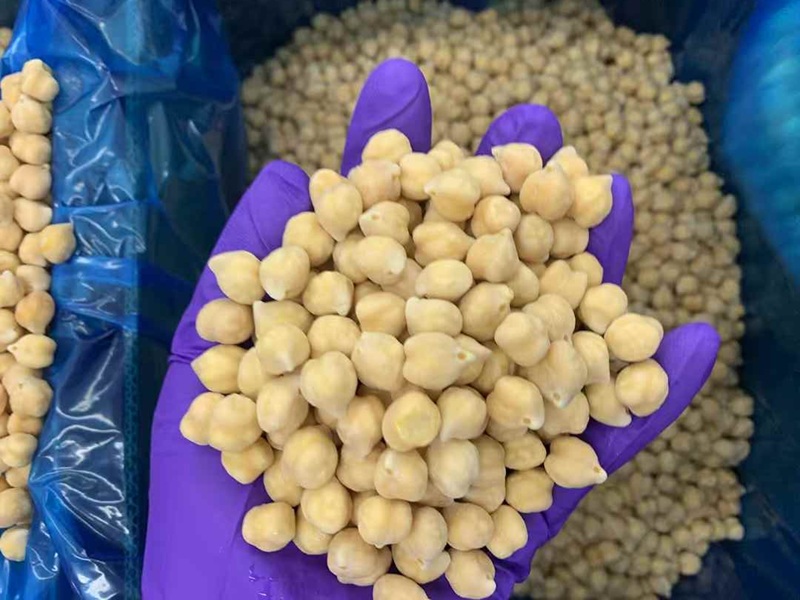 IQF Frozen Chickpeas manufacturer｜frozen chickpeas wholesale