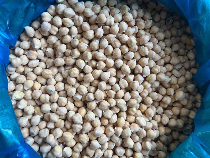 IQF Frozen Chickpeas manufacturer｜frozen chickpeas wholesale
