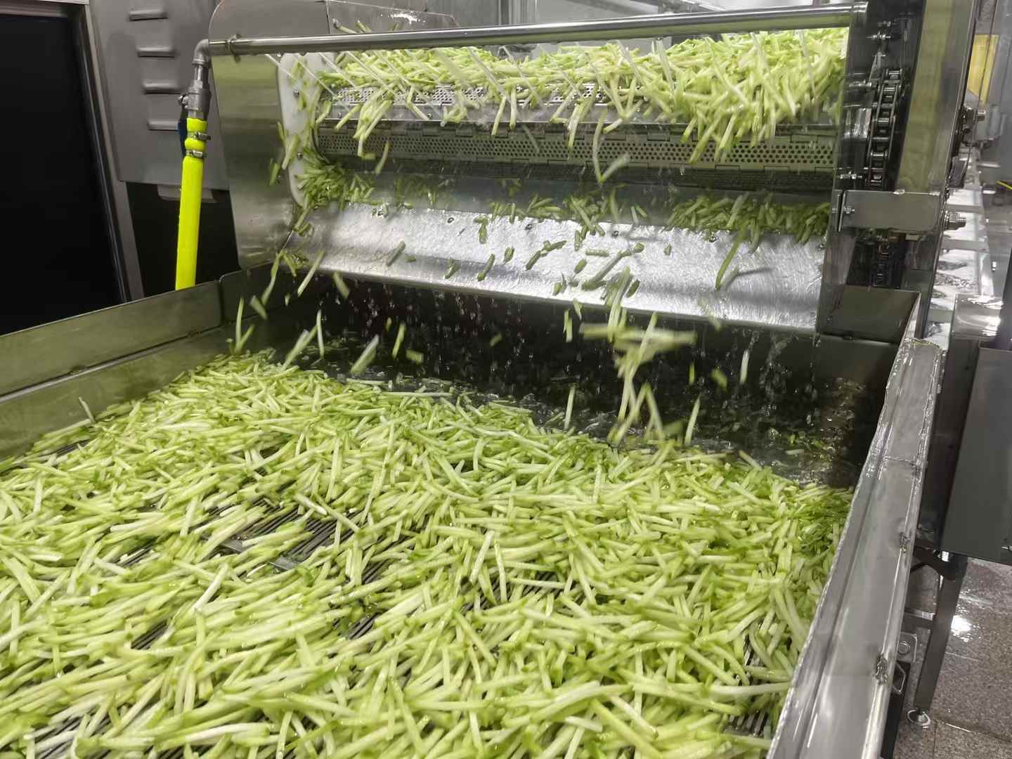 frozen chayote strips supplier