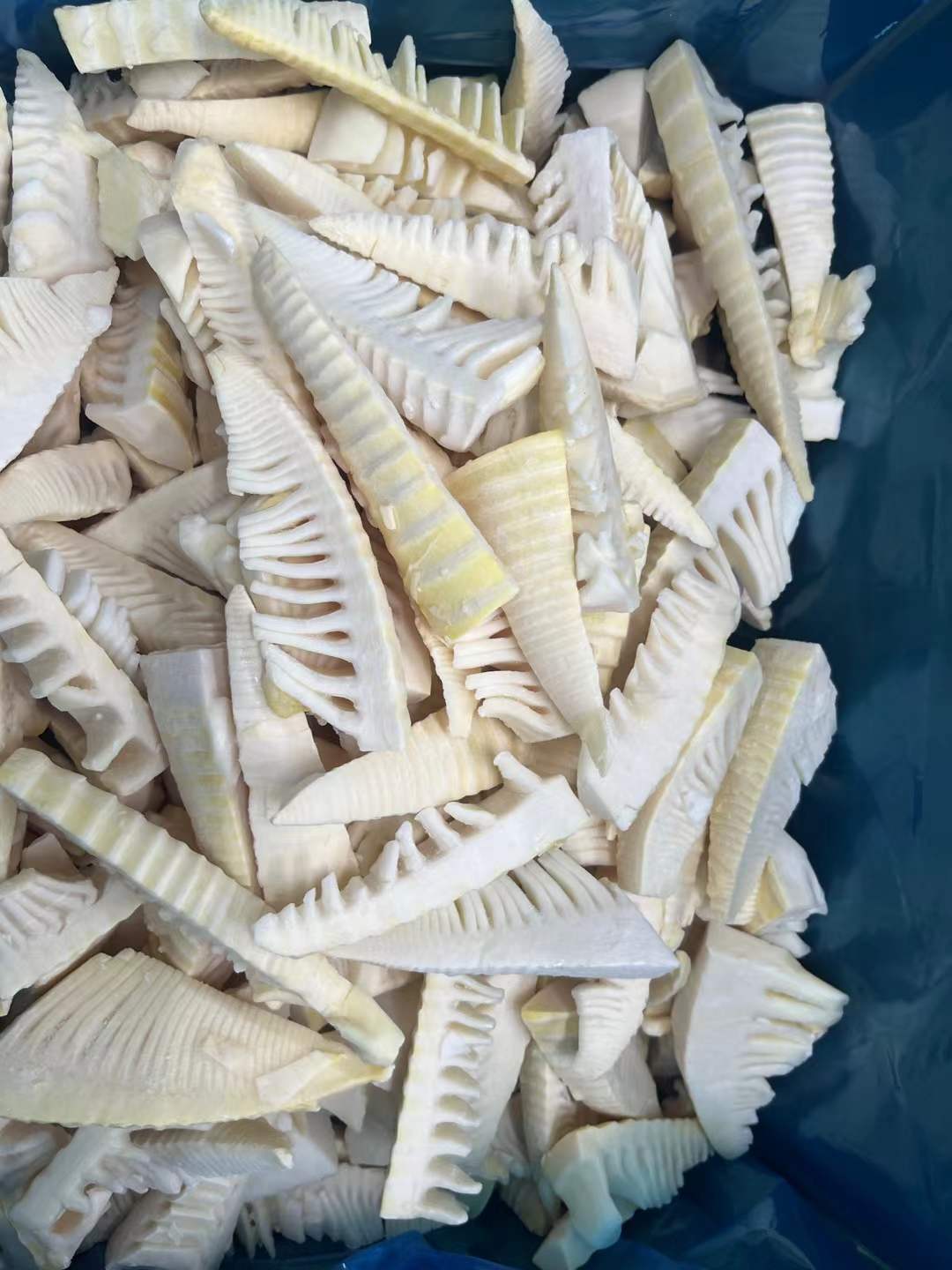 frozen spring bamboo shoot manufacturer