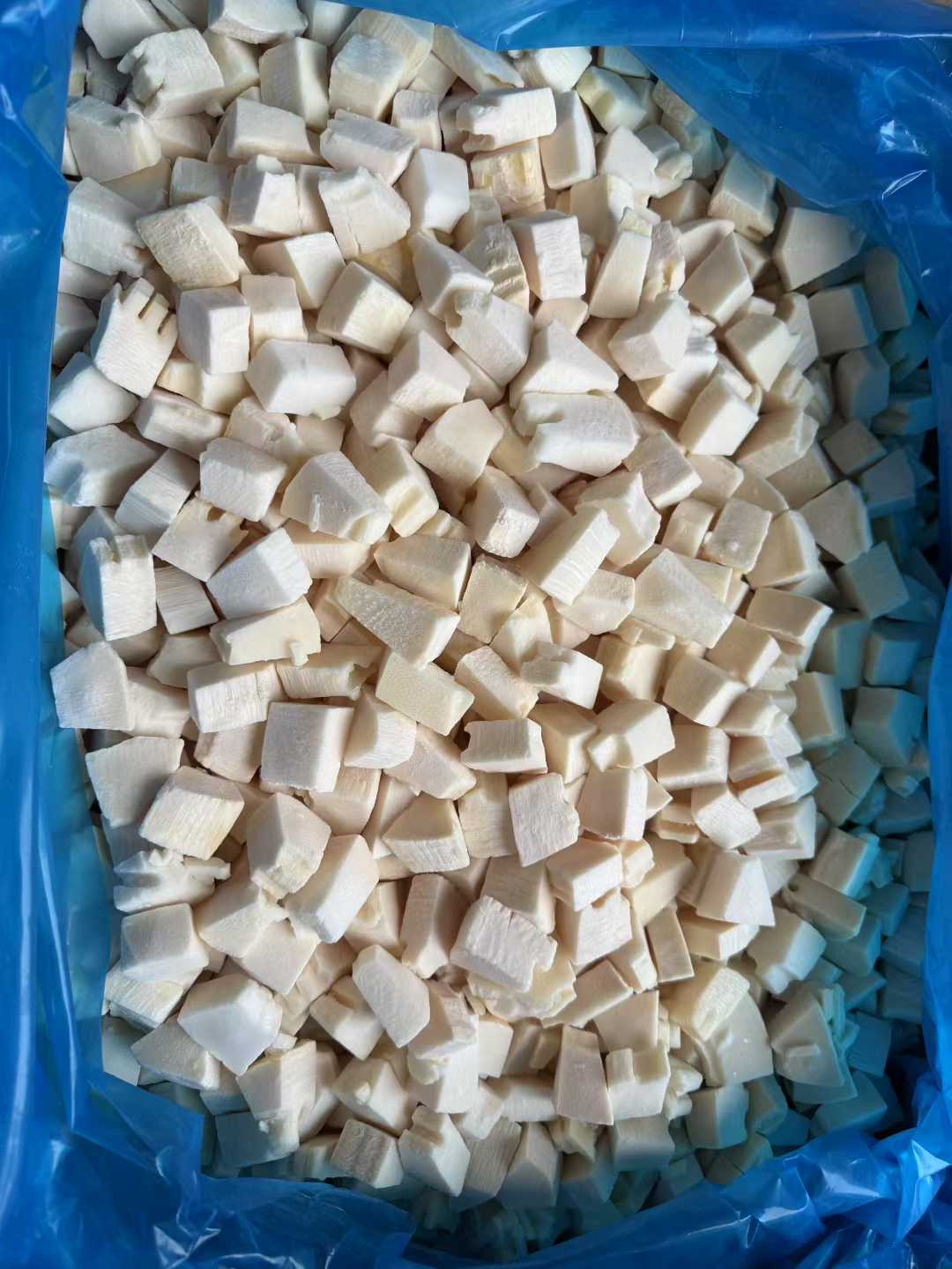 wholesale frozen spring bamboo shoot tips
