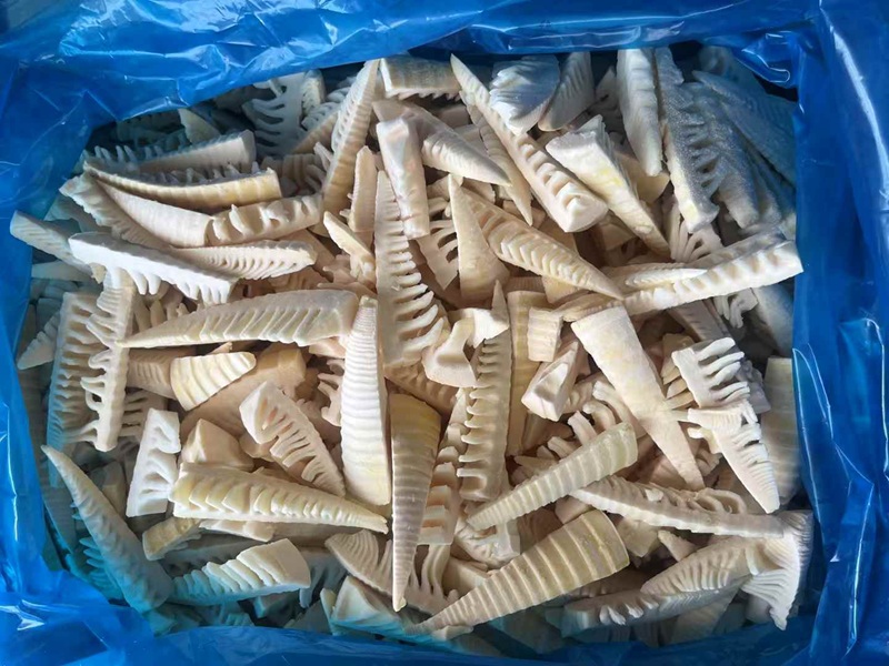 FRozen Spring Bamboo Shoot Manufacturer| Chunk Cube Tip Bulk Supply