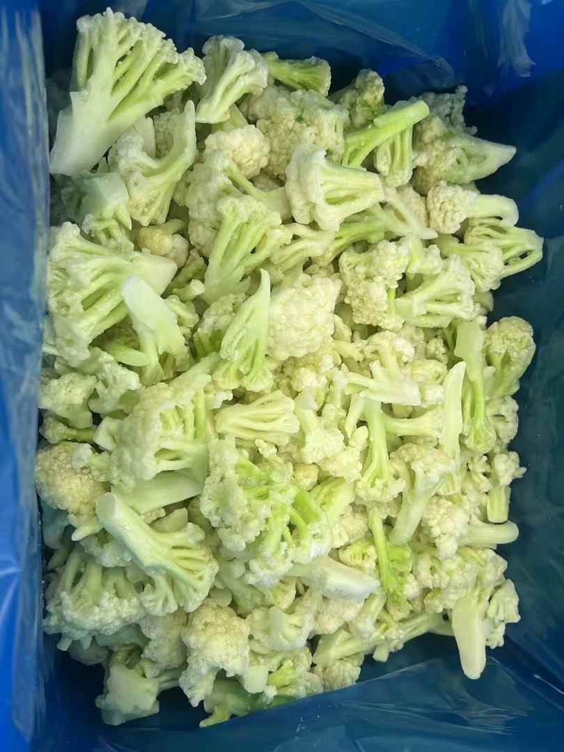 frozencauliflower florets supplier