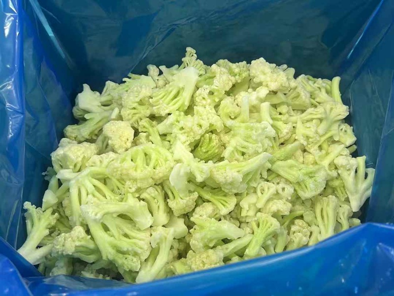IQF Frozen Cauliflower Florets with Green Stalks – Bulk Wholesale, BRC Certified
