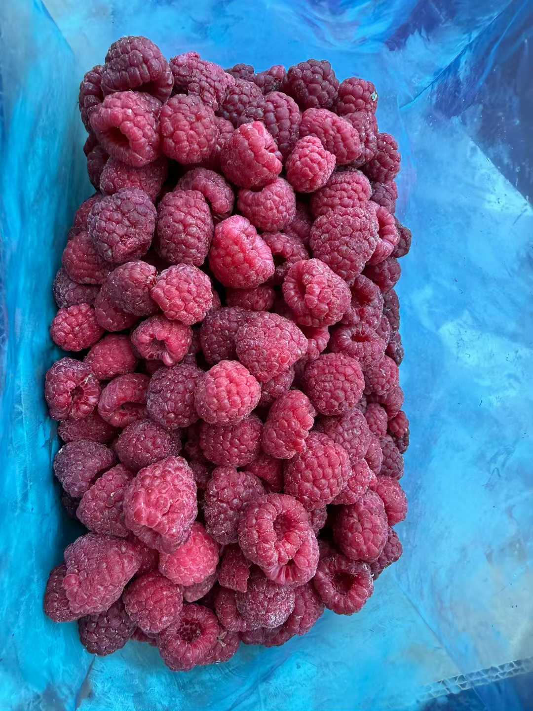 Frozen Raspberry Factory From China