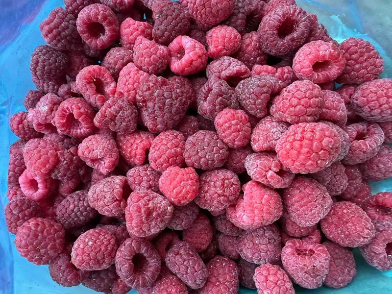 IQF Frozen Raspberries Manufacturer - Bulk Supply & Customizatio