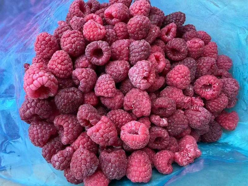 IQF Frozen Raspberries Manufacturer - Bulk Supply & Customizatio