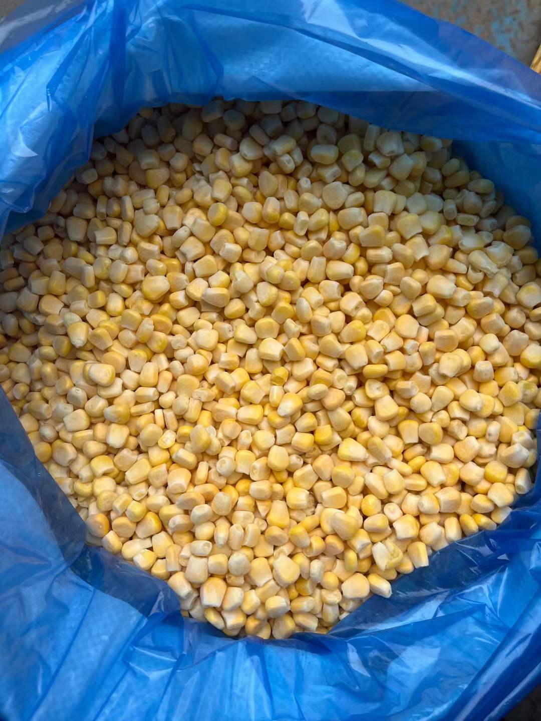 frozen corn kernels bulk price