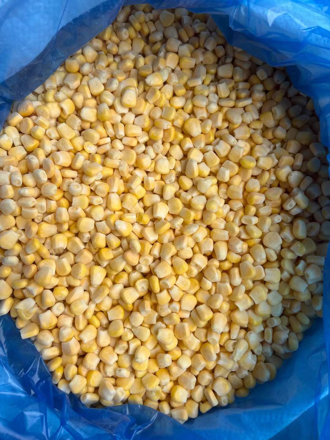 Frozen Corn Kernels Wholesale