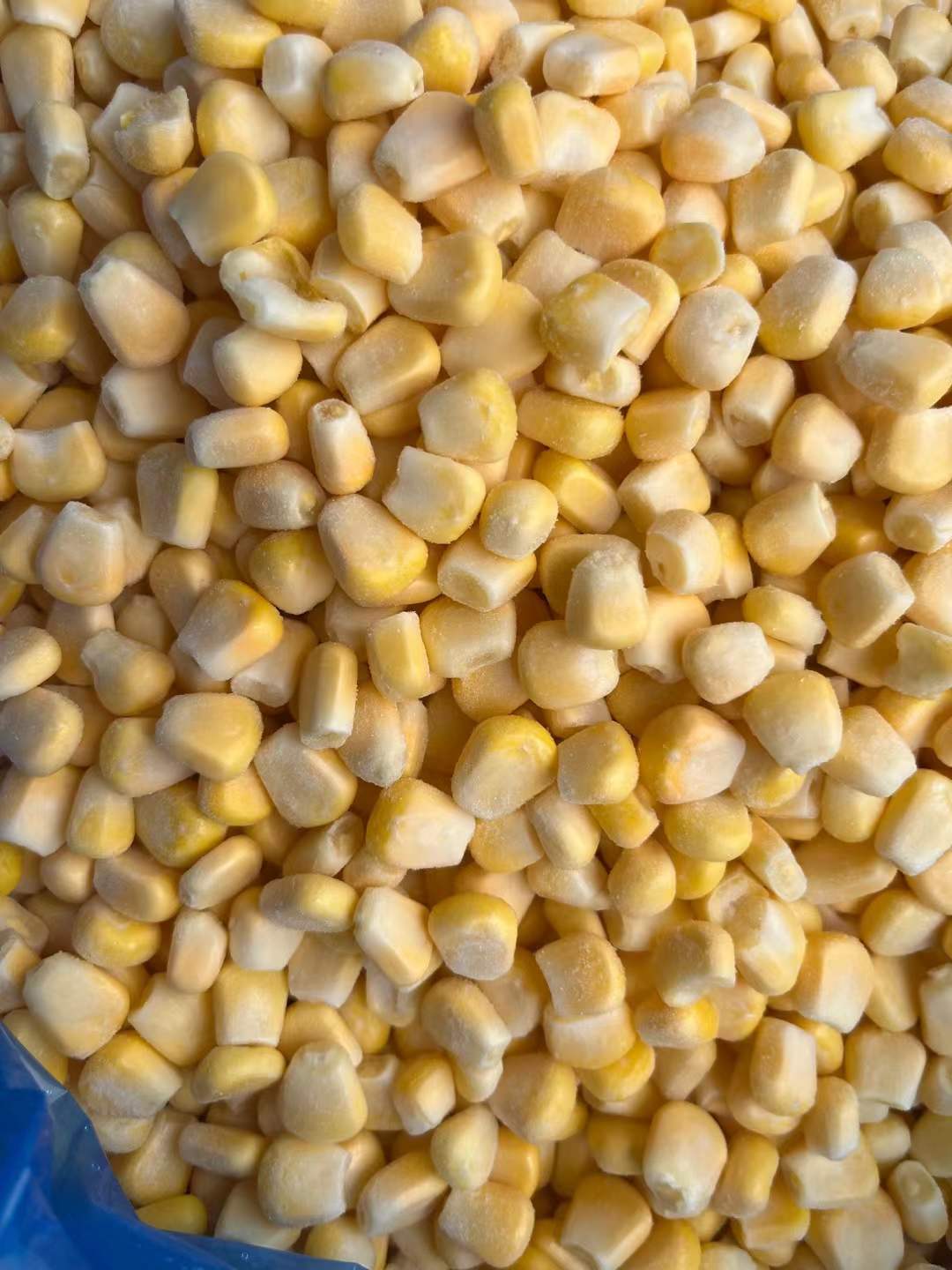 Frozen Corn Kernels manufacturer