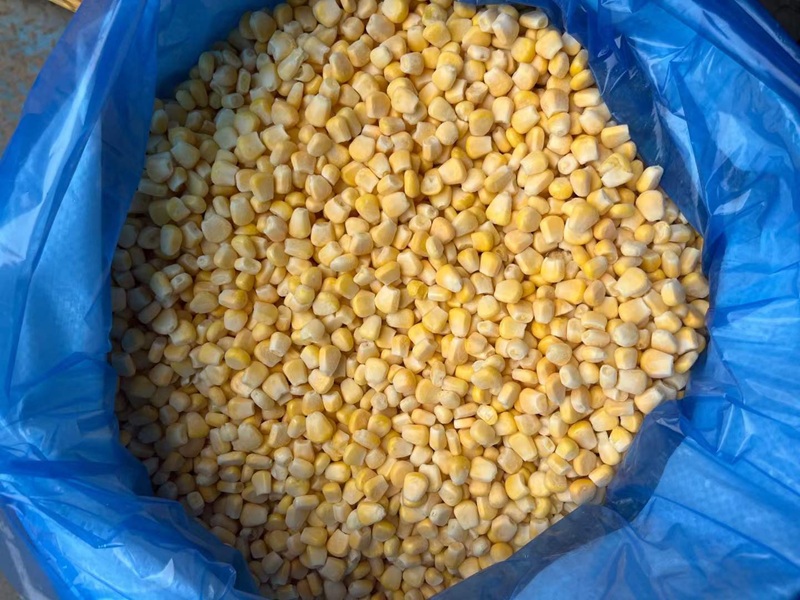 IQF Frozen Corn Kernels Wholesale | China Manufacturer & Supplier
