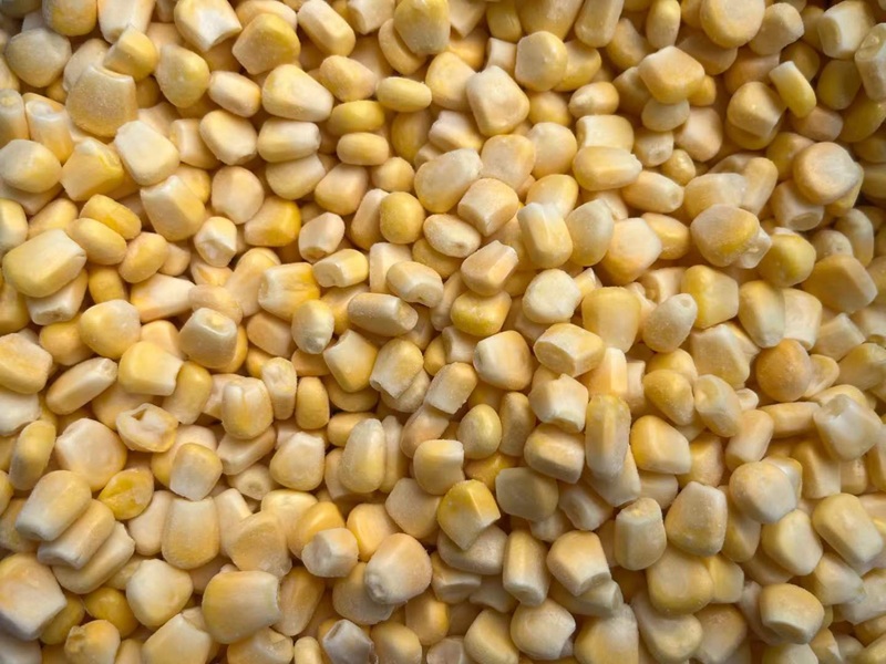 IQF Frozen Corn Kernels Wholesale | China Manufacturer & Supplier