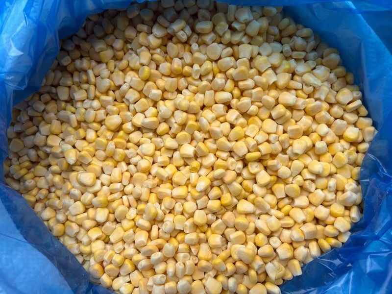 IQF Frozen Corn Kernels Wholesale | China Manufacturer & Supplier