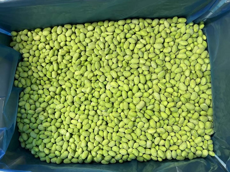 Fabricante y proveedor mayorista de edamame congelado, grano de soja