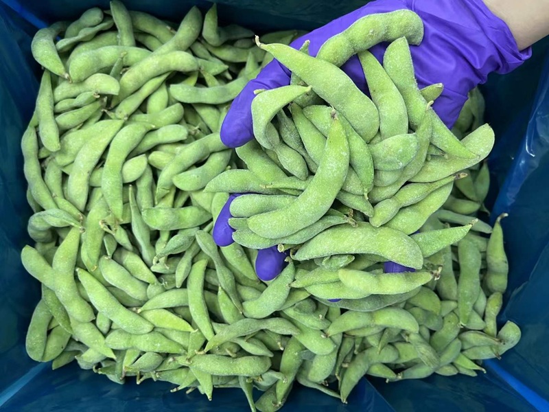 Fabricante y proveedor mayorista de edamame congelado, grano de soja
