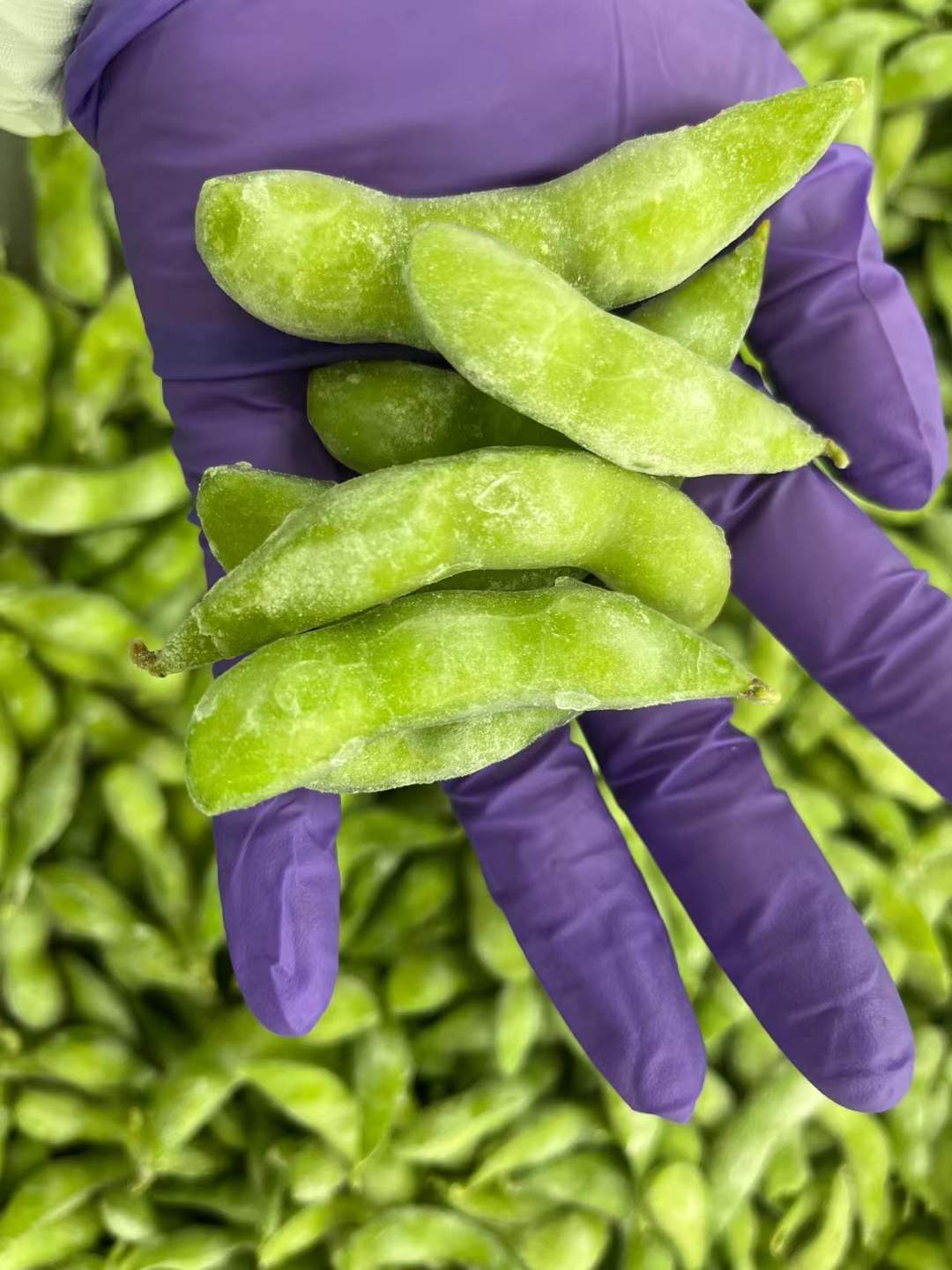 China bulk frozen edamame beans