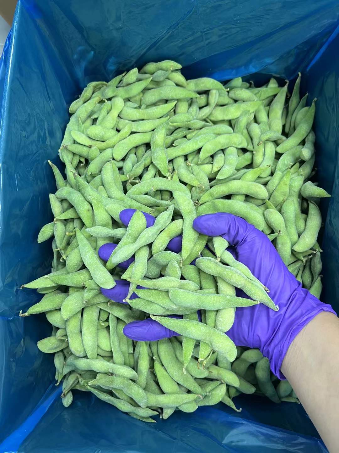 Chinese bulk frozen edamame beans