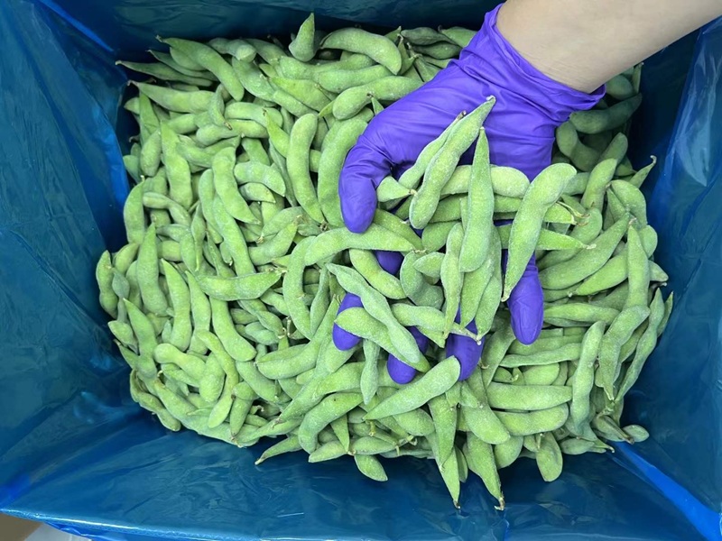 Wholesale Bulk Frozen Edamame Beans｜bulk frozen edamame beans manufacturer & supplier
