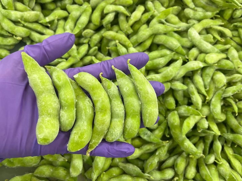 Wholesale Bulk Frozen Edamame Beans｜bulk frozen edamame beans manufacturer & supplier