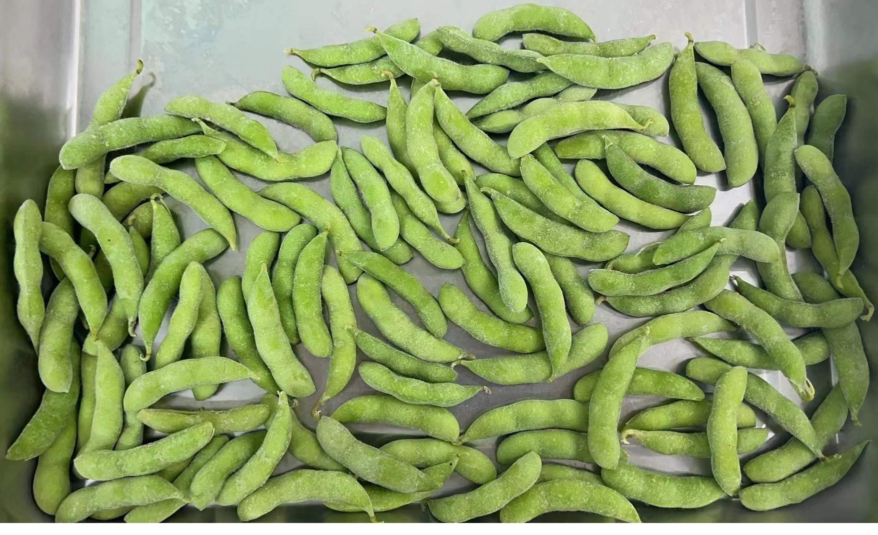 Wholesale Bulk Frozen Edamame Beans｜bulk frozen edamame beans manufacturer & supplier