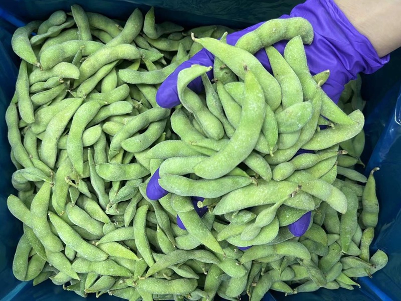 Wholesale Bulk Frozen Edamame Beans｜bulk frozen edamame beans manufacturer & supplier