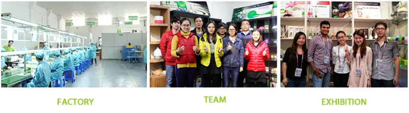 Clear Reed Diffuser Bottle